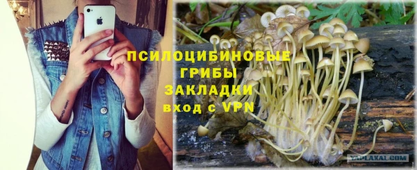 PSILOCYBIN Беломорск