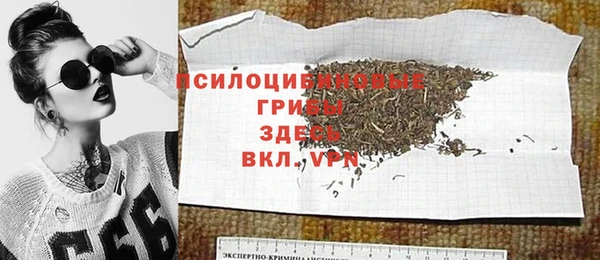метадон Белокуриха