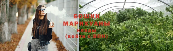 PSILOCYBIN Беломорск