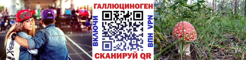 MEGA зеркало  Староминская  Галлюциногенные грибы Psilocybe 